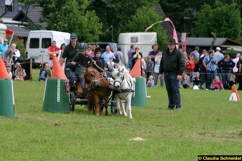 Ponytag Bosbach 2012-039.jpg